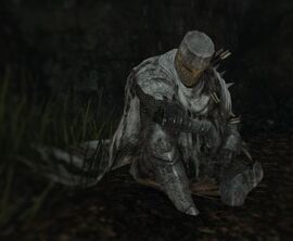 Dark Souls Sotfs Ng Build Dark Souls Sotfs Ng Build