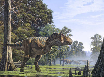 Resultado de imagen de t rex vs triceratops