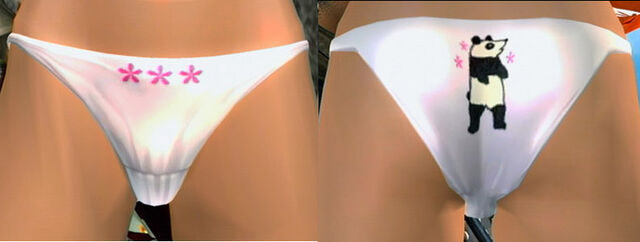File:DOA4LeiFangPantiesCos7.jpg