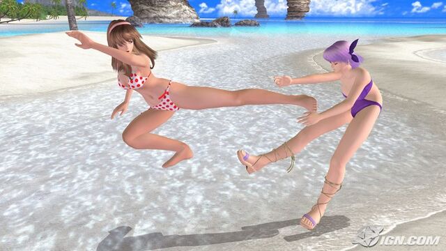 File:Hitomi vs Ayane.jpg