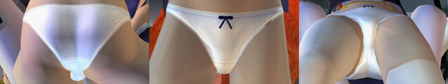 File:DOAUAyanePantiesCos3.jpg