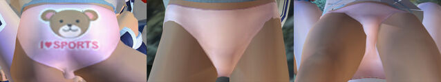 File:DOAUHitomiPantiesCos9.jpg