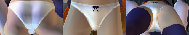File:DOAUAyanePantiesCos2.jpg