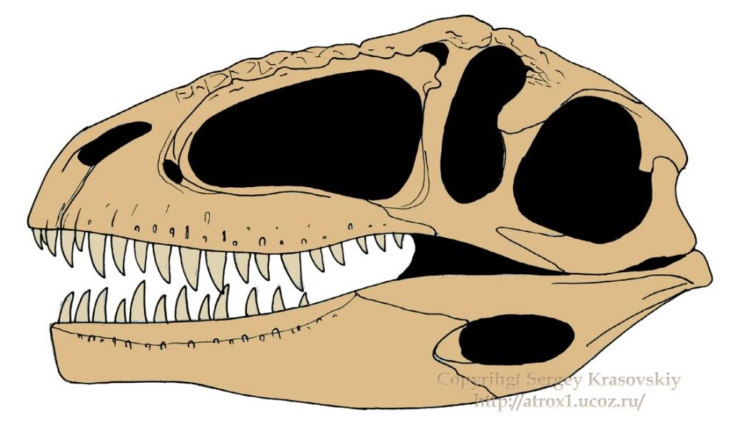 Que forma tiene el cráneo del I-rex? - Página 2 20101115191513