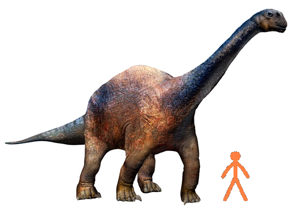 Image - Human-Argentinosaurus size comparrison.png | Prehistoric Wiki | Fandom powered by Wikia