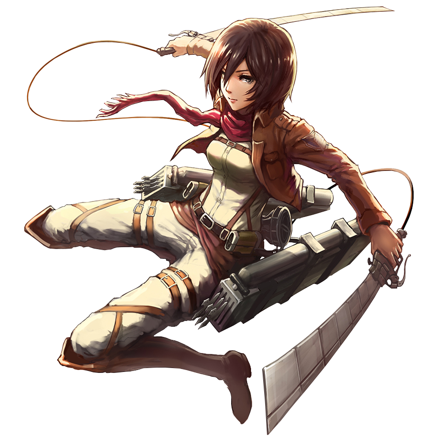 Résultat de recherche d'images pour "mikasa"