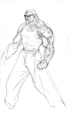 File:Hermann concept.jpg