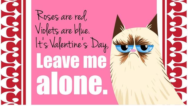 Datei:Grumpy Valentine.jpg