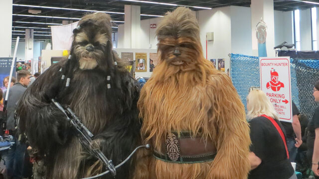 Datei:RPC 2014 Wookiees.jpg