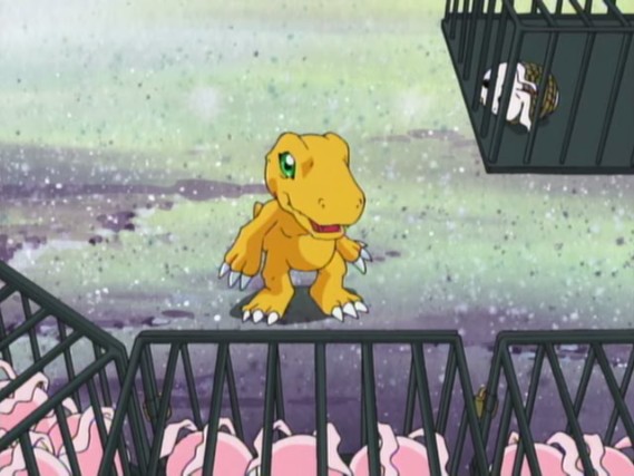 [Por Dentro do Anime com Spoilers] - Digimon Adventure [1/2] Latest?cb=20091207002045