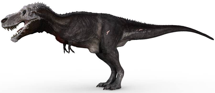 t rex jack