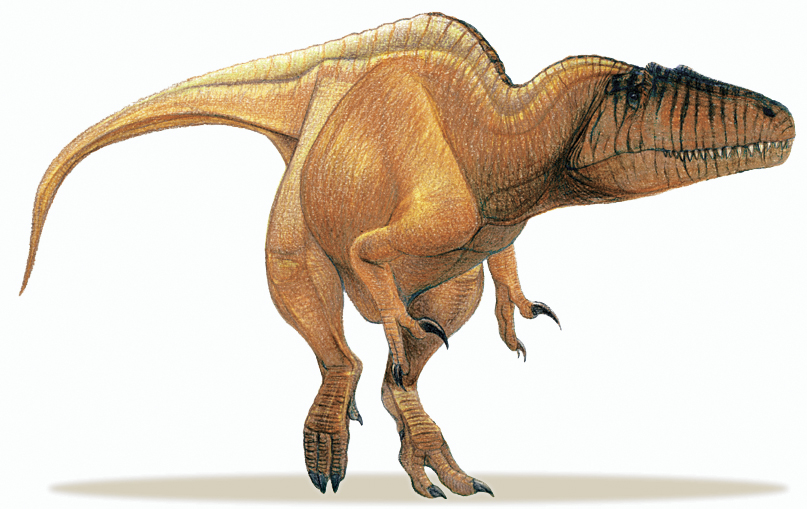 discover with dr cool dinosaurs