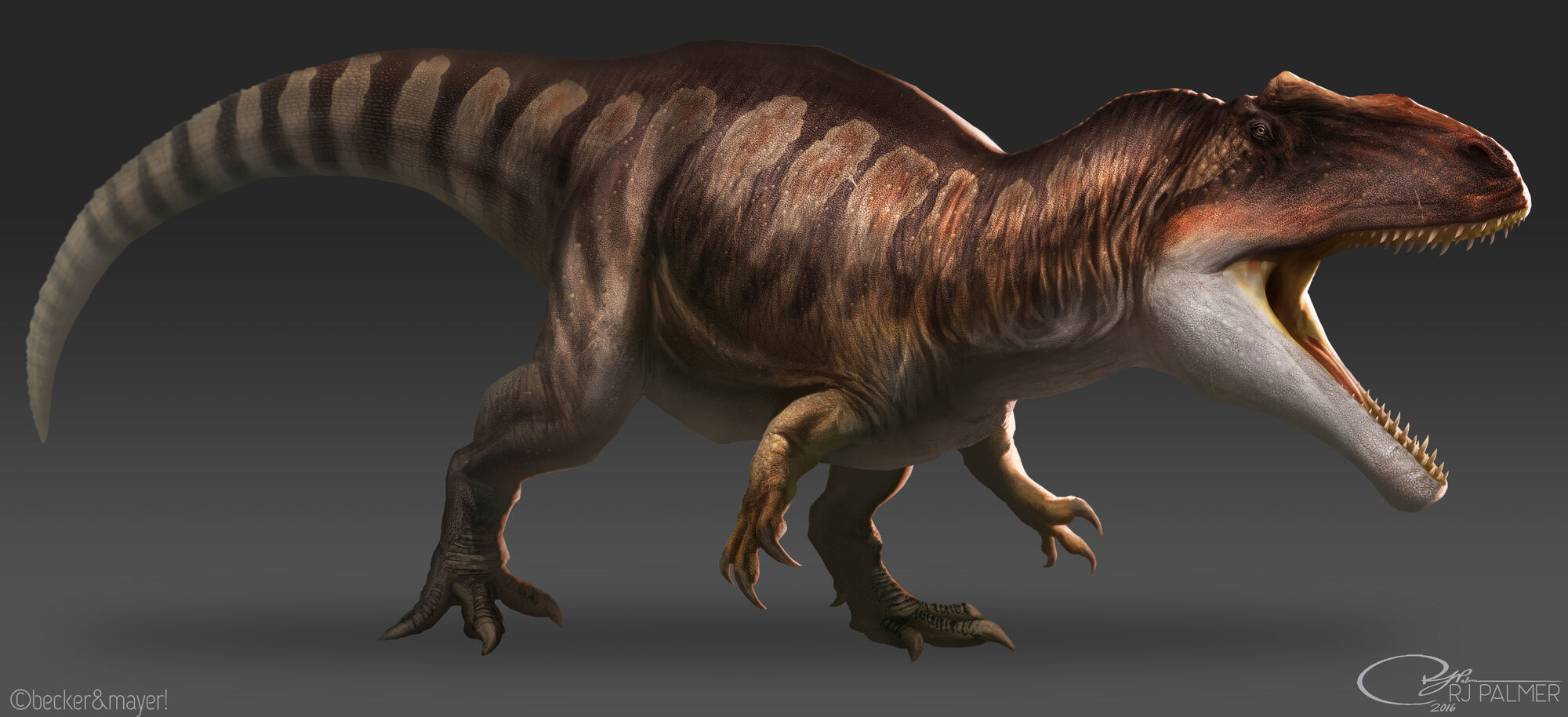 blue giganotosaurus
