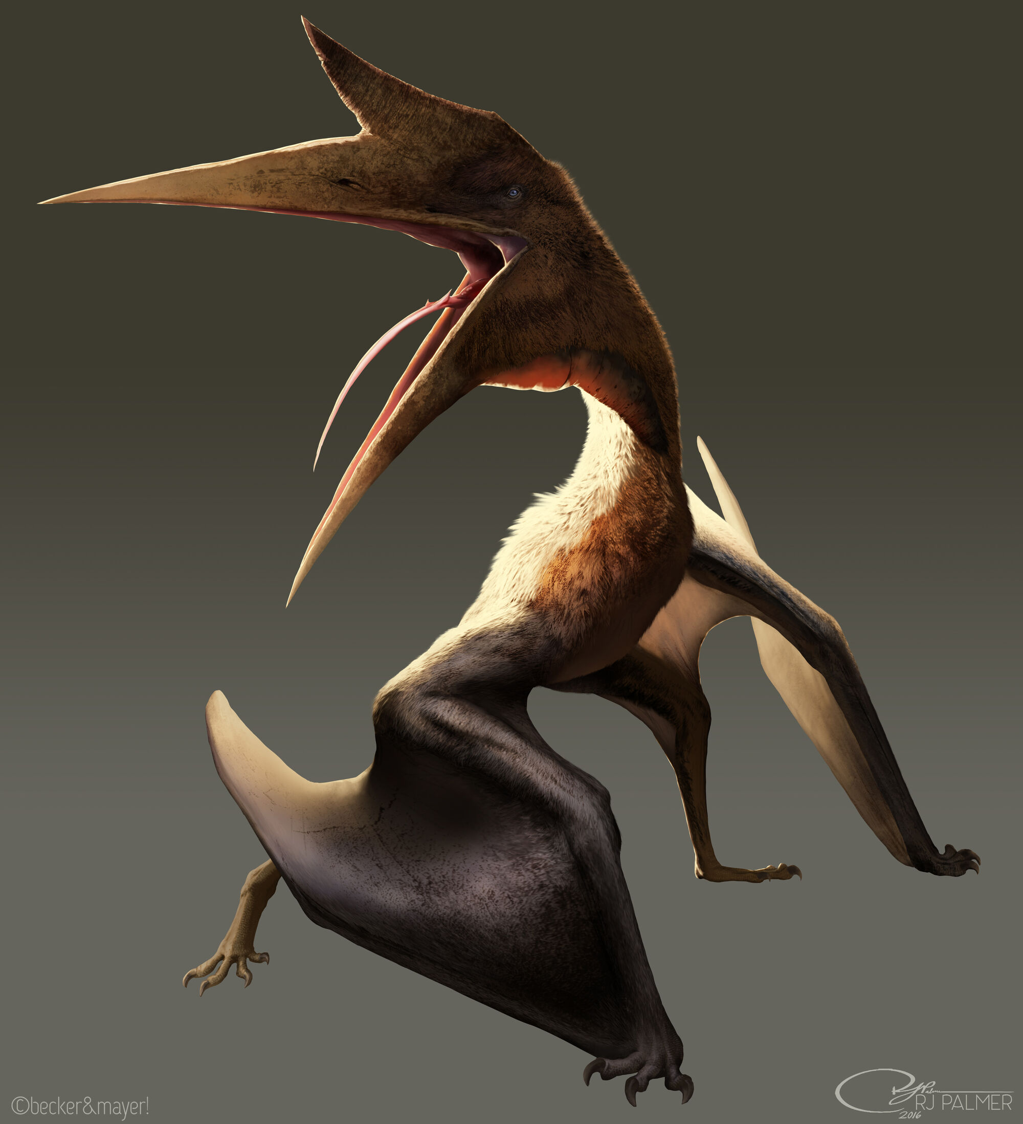 Quetzalcoatlus | Dinopedia | FANDOM powered by Wikia
