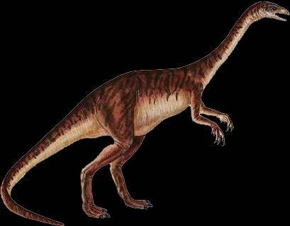 Ammosaurus Dinopedia Fandom powered by Wikia
