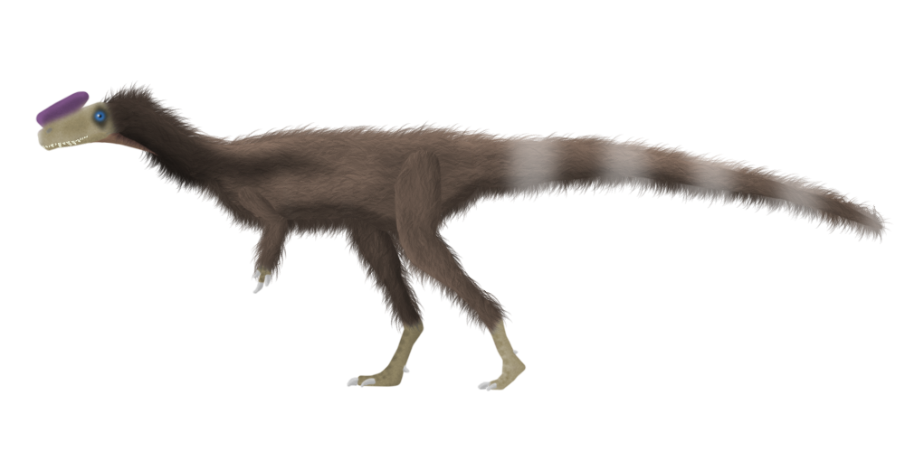 proceratosaurus jwe