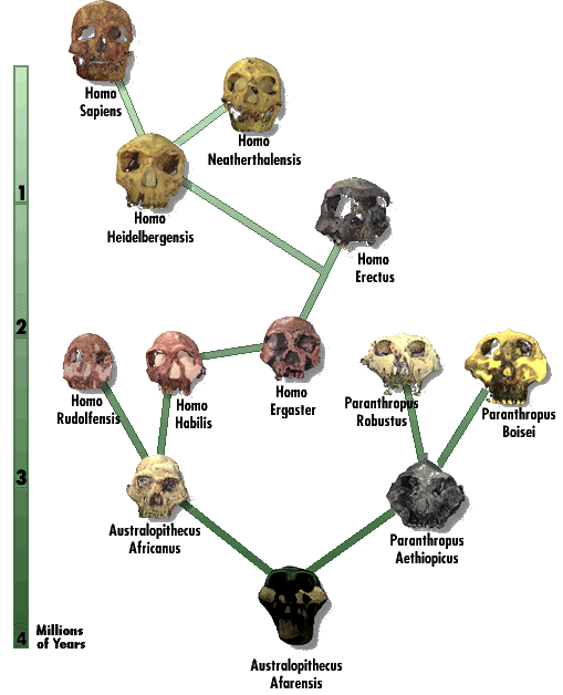 attempting to explain when the evolution of humanity all started The origin of man has long been the subject of human speculation but in spite of all that has been done scientifically and otherwise its creation, history, and destiny the creation of man how does evolution fail to explain that in man which corresponds to the image of god 6. attempting to explain when the evolution of humanity all started The origin of man has long been the subject of human speculation but in spite of all that has been done scientifically and otherwise its creation, history, and destiny the creation of man how does evolution fail to explain that in man which corresponds to the image of god 6.