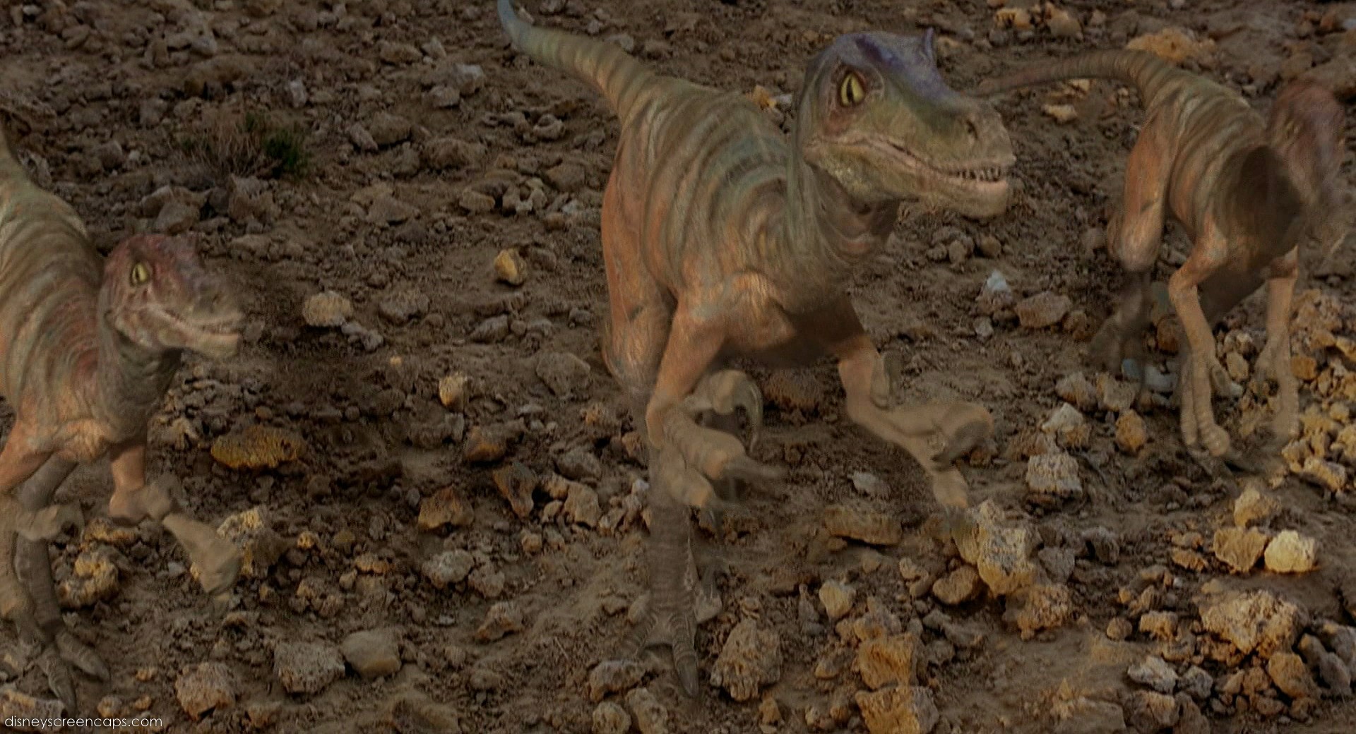 dinosaur raptor attack