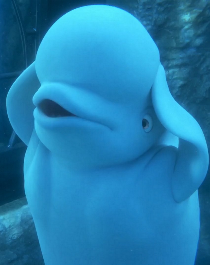 Bailey the Beluga Whale | Disney Infinity Wiki | FANDOM powered by Wikia