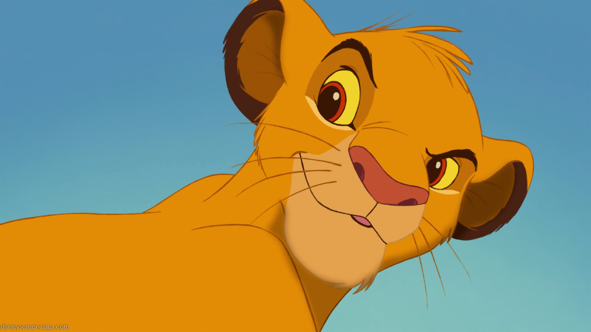 Image Simba2(The Lion King).jpg Disney Wiki FANDOM powered by Wikia