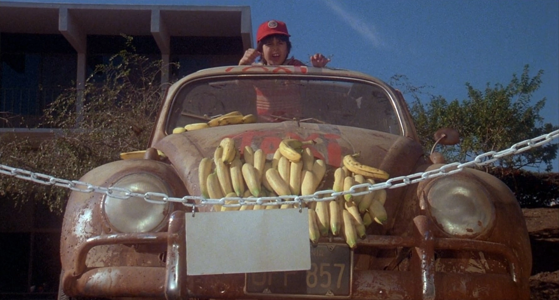 Image HerbieGoesBananas11.png Disney Wiki Fandom powered by Wikia