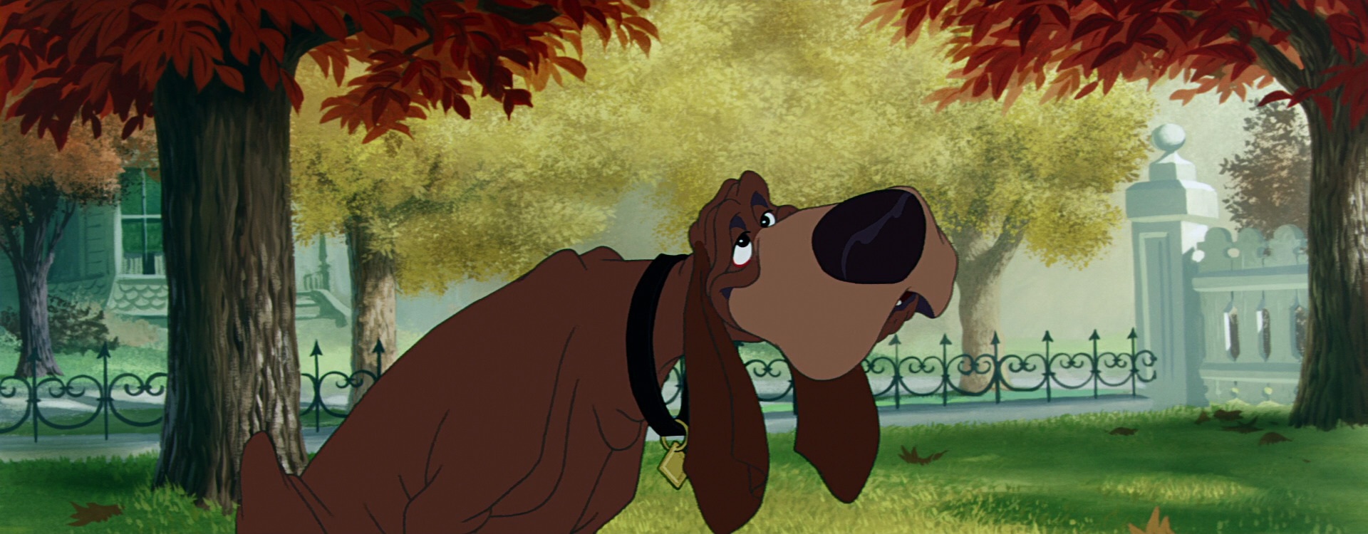 Image result for TRUSTY LADY AND THE TRAMP GIFS