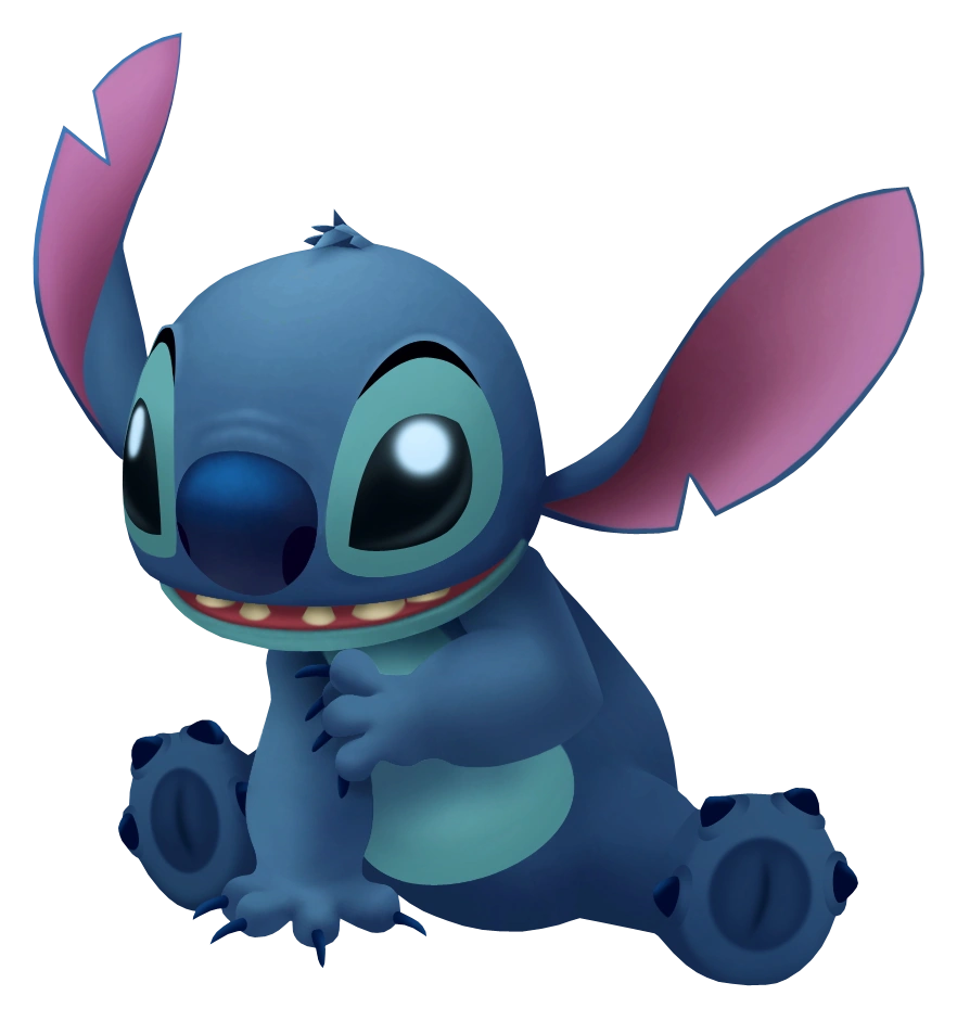 From Image to Stitch Adquisitio 