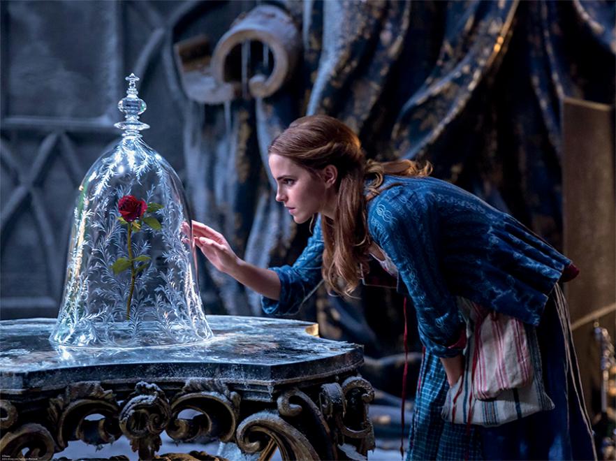 Image Beauty and the Beast 2017Belle and Enchanted Rose.jpg Disney Wiki FANDOM powered by