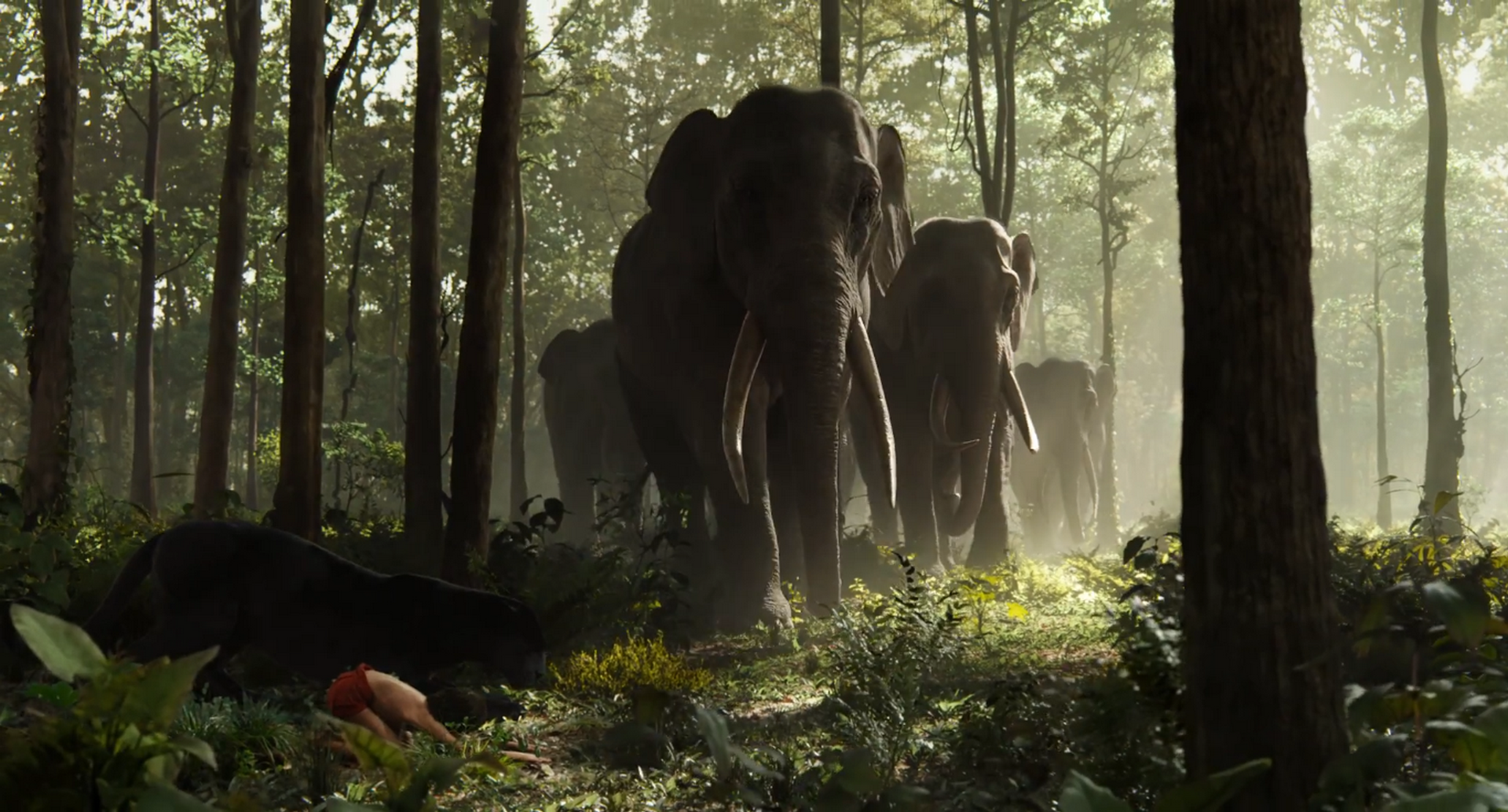 2016 The Jungle Book 2016 The Jungle Book