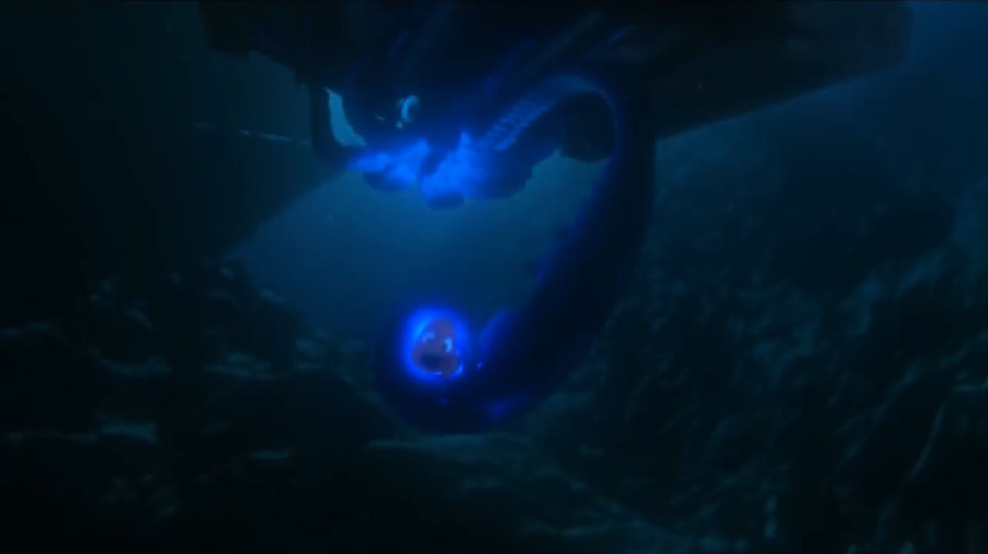 Image Finding Dory Nemo Squid.jpg Disney Wiki Fandom powered by Wikia