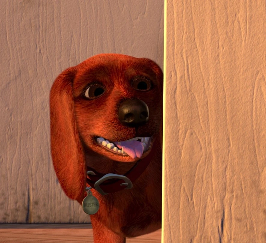 Buster (Toy Story) Disney Wiki Fandom powered by Wikia