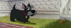 Lady-tramp-disneyscreencaps.com-2032