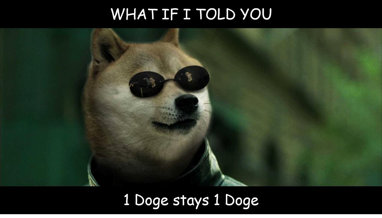 1 Doge = 1 Doge | Dogecoin Wiki | Fandom powered by Wikia