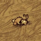 pumpkin cookies dont starve wiki pumpkin cookies dont starve wiki