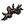 Vine