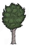 Birchnut Tree.png