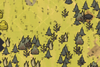 Grassland Icon.png