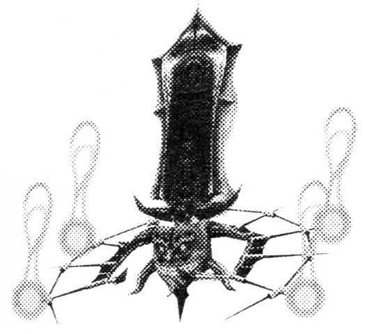File:Vakbezel.jpg