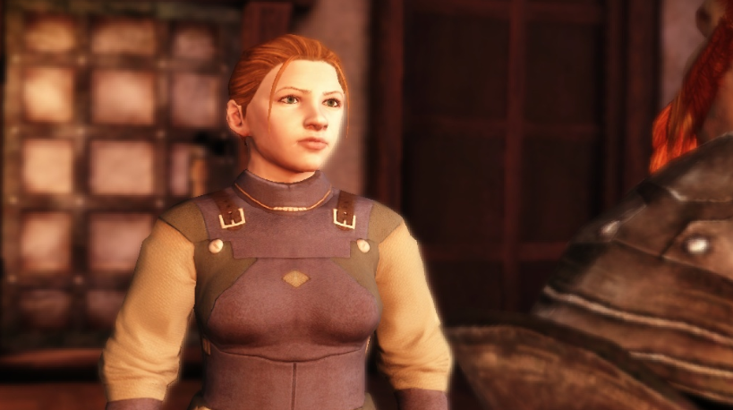 Dragon age подарки для винн 19