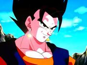 Vegetto123.jpg