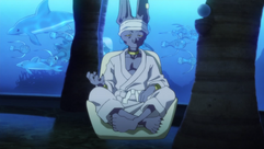 BOG Beerus 003