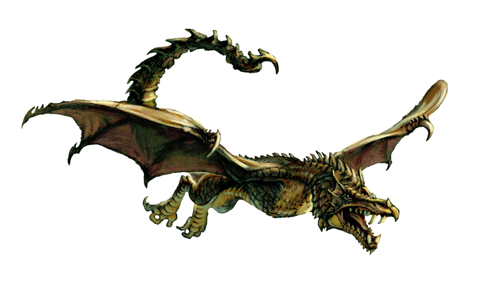 Image - Wyvern (Dungeons &amp; Dragons) (main).png | Dragons ...