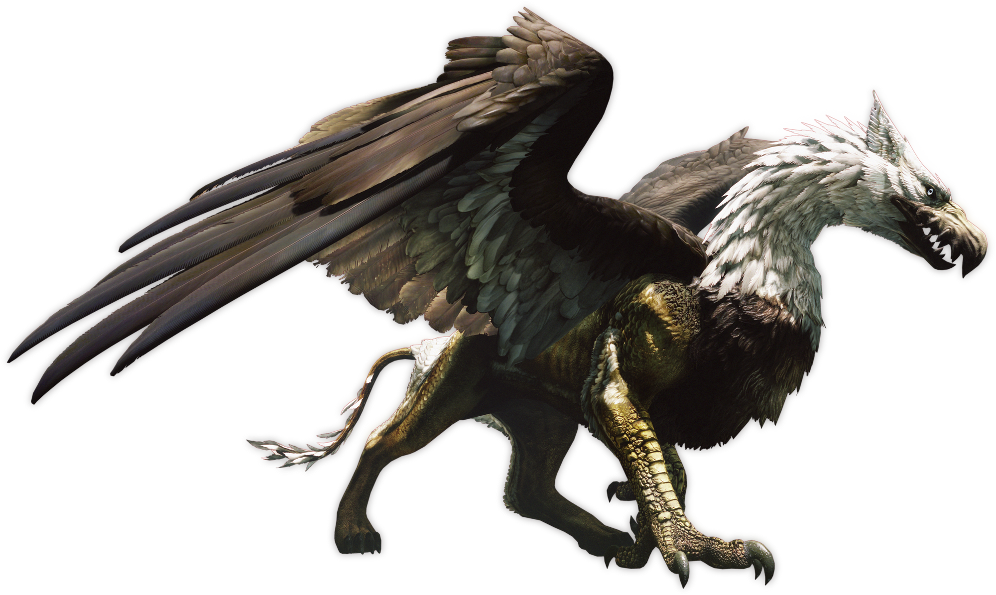 Griffin | Dragon's Dogma Wiki | FANDOM Powered By Wikia