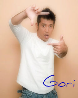 Gori.jpg