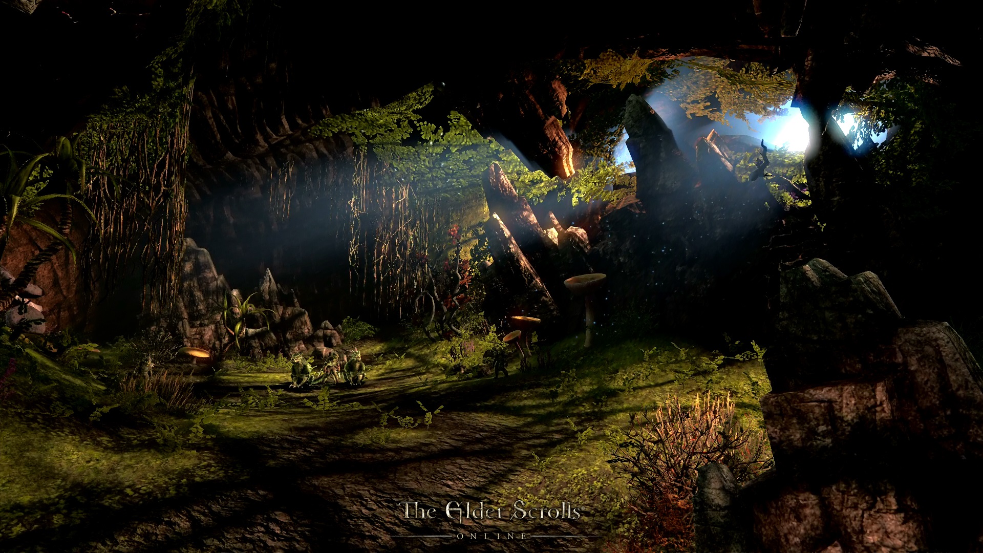 Image - Fungal Grotto.jpg | Elder Scrolls | FANDOM powered ...