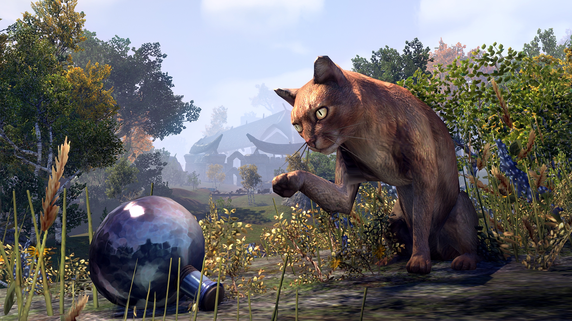 Pets Elder Scrolls FANDOM powered by Wikia