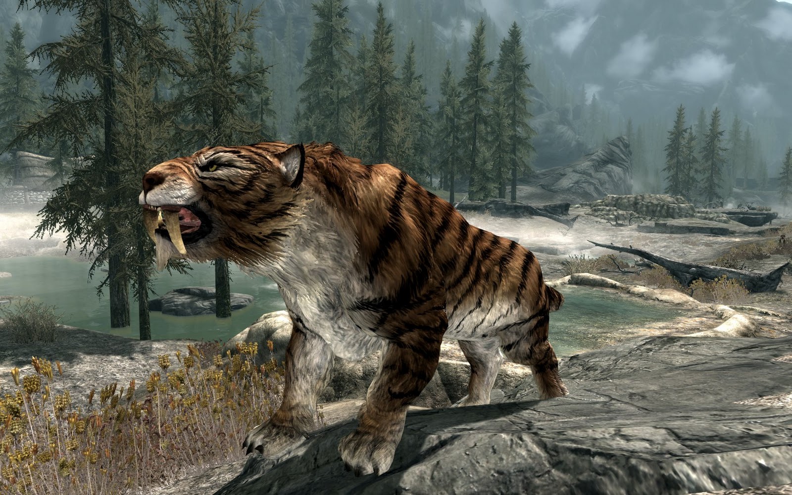 Immagini Di Tigre Con I Denti A Sciabola