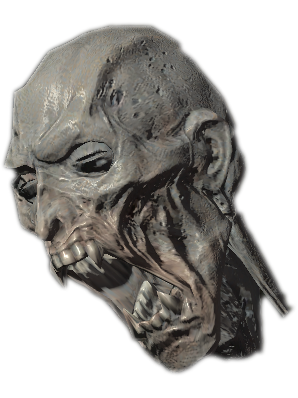 skyrim special edition cover khajiit
