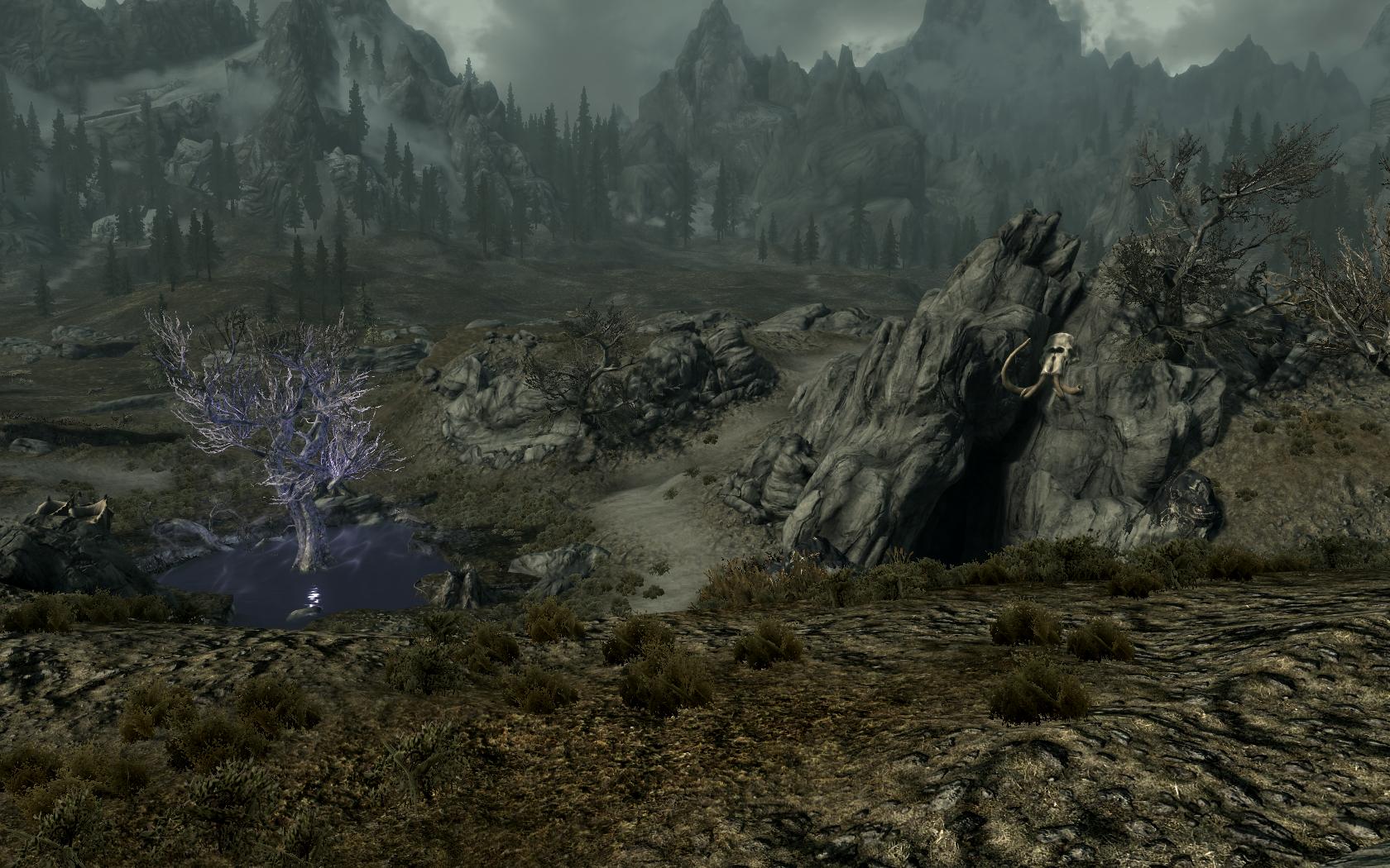 skyrim sleeping tree cave skyrim sleeping tree cave