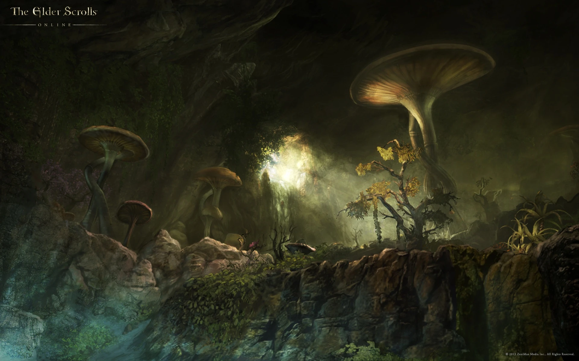 Fungal Grotto Elder Scrolls FANDOM powered by Wikia